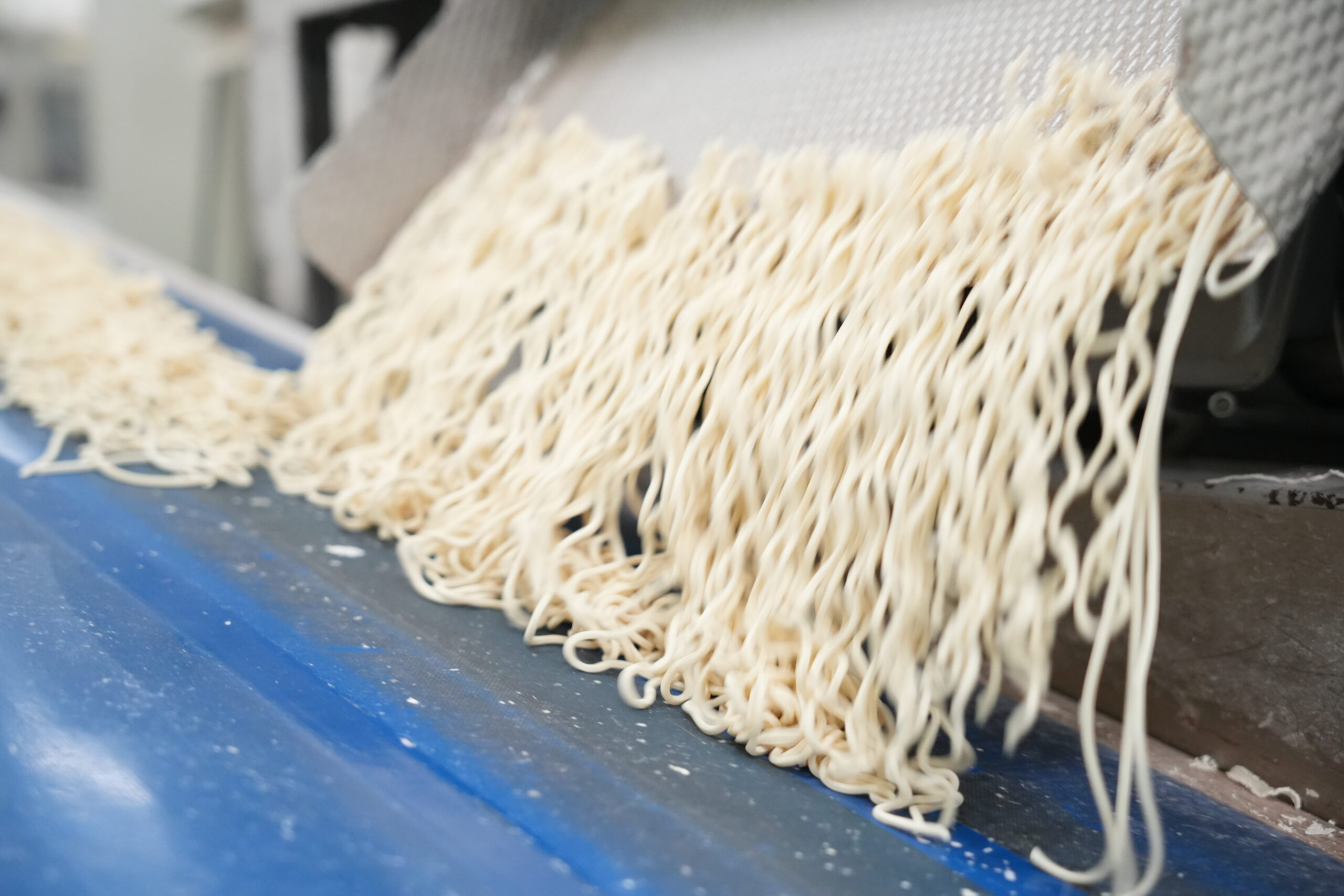 新吉製麺所の麺製造風景